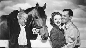 The Story of Seabiscuit — foto 1