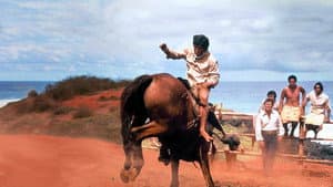 The Castaway Cowboy — foto 2