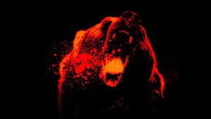Monster Grizzly — foto 1