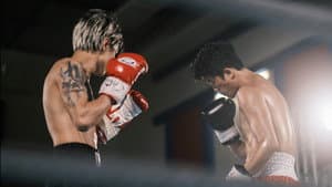 拳手 — foto 1