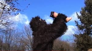 Suburban Sasquatch — foto 1