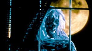 Cuentos de Terror — foto 2