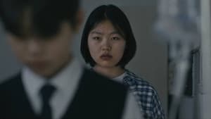 애정이 — foto 1