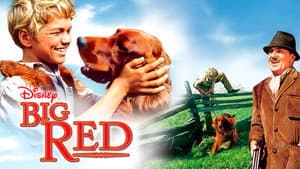 Big Red — foto 3