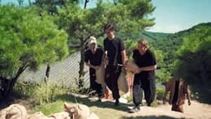 Episodio 4