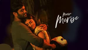 మెరిసే మెరిసే — foto 3