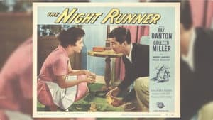 The Night Runner — foto 10