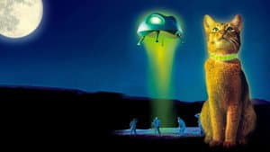 The Cat from Outer Space — foto 4