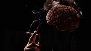 How Drugs Work — foto 3