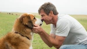 La razón de estar contigo — foto 6
