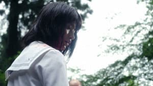 Pure Japanese — foto 1