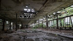 The End of Meat — foto 1
