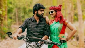 பிஸ்தா — foto 3