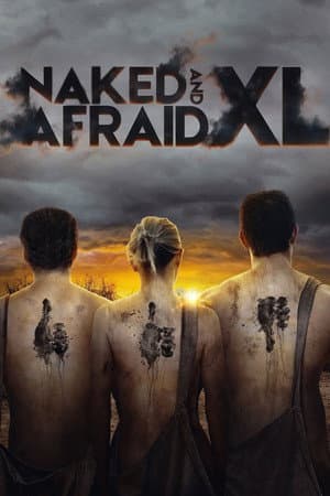 Temporada 6