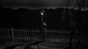 La noche del cazador — foto 5