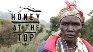 Honey at the Top — foto 1