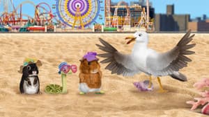 ¡Un día en la playa! / “¡Ayuden a las amigas de la sabana!