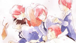 Kimi to Boku — foto 5