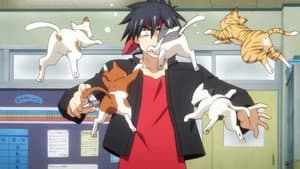 Episodio 7