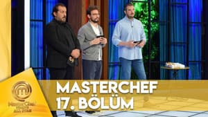 Episodio 17