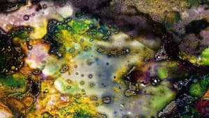Nebula Rising — foto 1