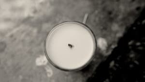 A Fly Floating In The Midst Of The Milk — foto 6