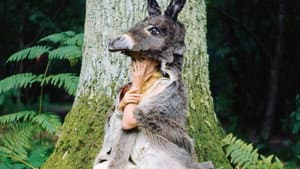 Piel de burro — foto 4