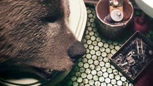 Bye Bear — foto 1
