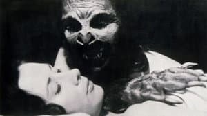 The Bat People — foto 1
