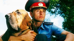Участок — foto 2