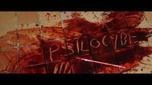 Psilocybe — foto 1