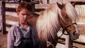 The Red Pony — foto 7