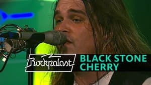 Black Stone Cherry: Crossroads Festival 2009 — foto 1