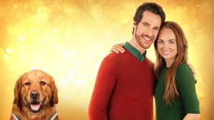 My Christmas Guide — foto 1