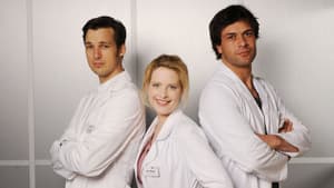 Doctor's Diary — foto 3