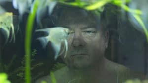 Herbert — foto 2