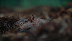 The Woods Are Real — foto 4