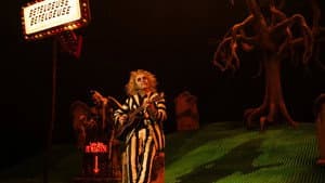 Beetlejuice Beetlejuice — foto 11