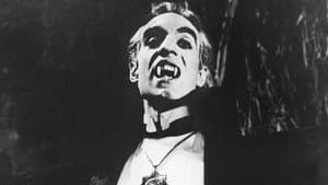 El vampiro — foto 6