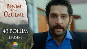 Episodio 43