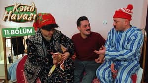 Episodio 11