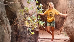 American Murder: Gabby Petito — foto 3