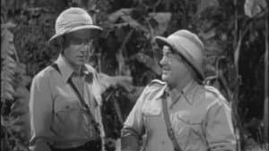Abbott y Costello: África viva — foto 4