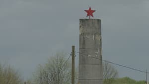 Šume šume — foto 1