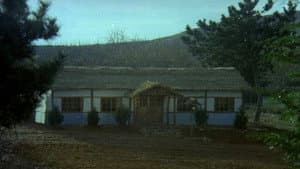 상록수 — foto 1