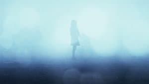 Disappeared — foto 7