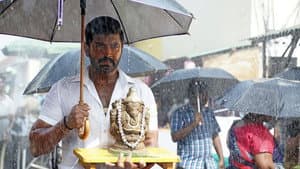 யானை — foto 2