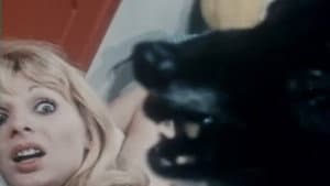 Rivelazioni di uno psichiatra sul mondo perverso del sesso — foto 5