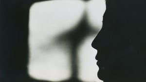 No. 4 — foto 1