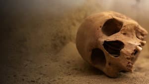 Lost Tombs of the Pyramids — foto 5